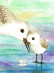 Two birds, watercolour, A3, 2017
